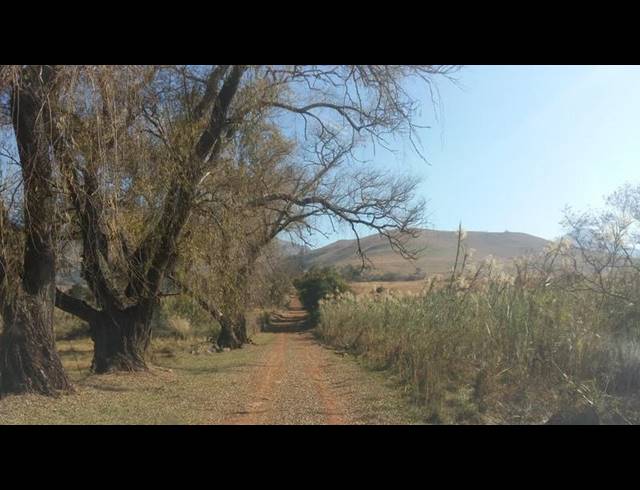 FARM FOR SALE IN LYDENBURG RURAL